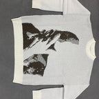 Frank Ocean sweater in soft knit fabric featuring a relaxed fit and stylish design, perfect for casual wear.